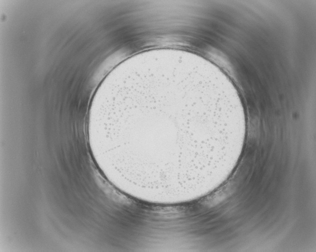 X0000057081338200510071835