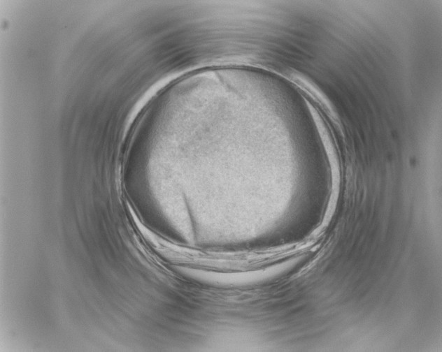 X0000057081340200510071835