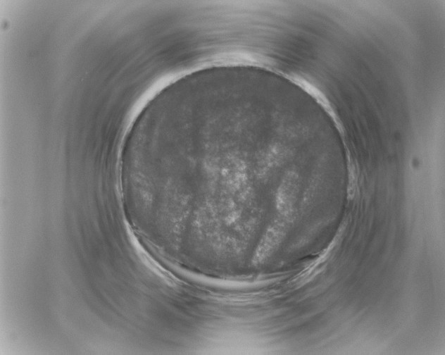 X0000057081342200510071835