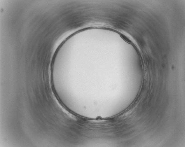 X0000057081343200510071835