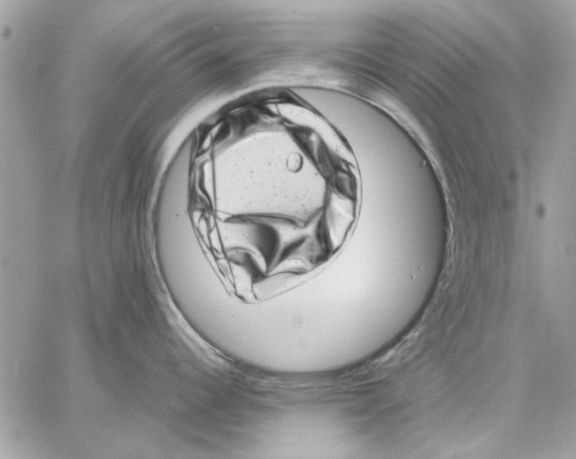 X0000057081344200510071835