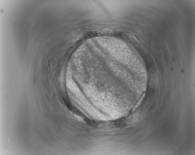 X0000057081345200510071835