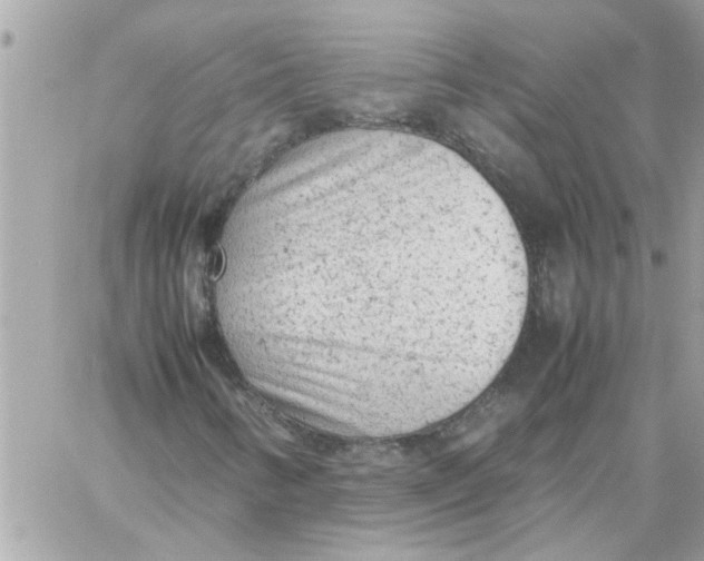 X0000057081346200510071835