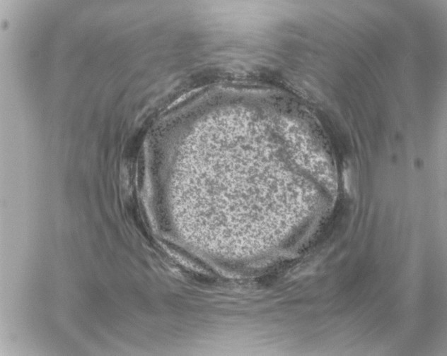 X0000057081347200510071835