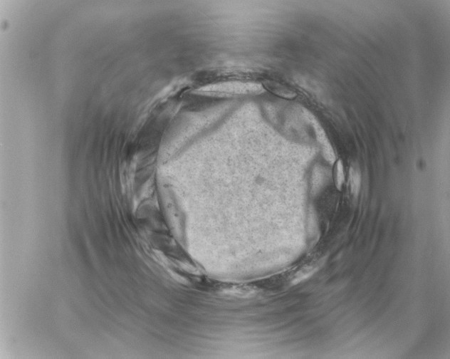 X0000057081348200510071835