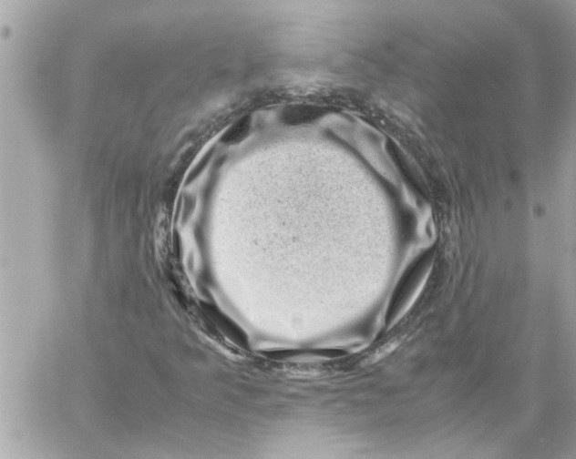 X0000057081349200510071835