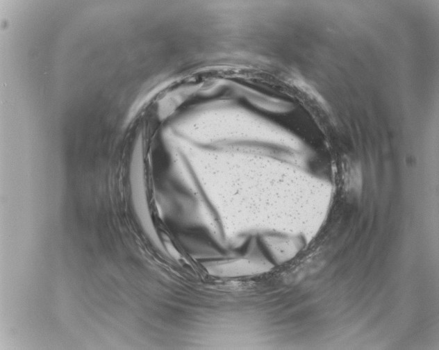 X0000057081352200510071834