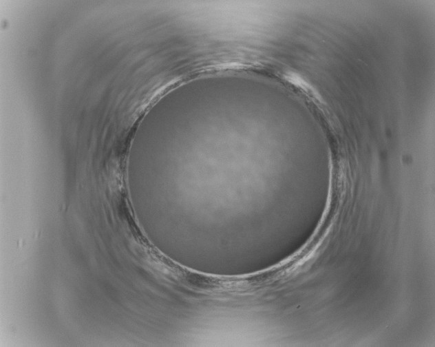 X0000057081353200510071834