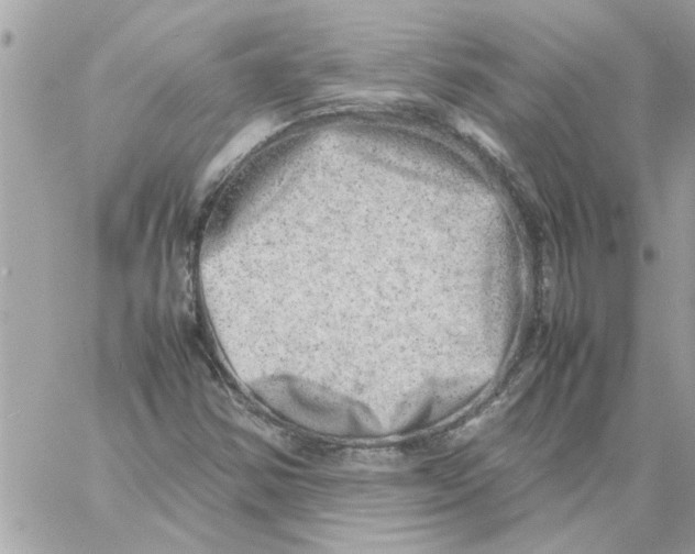 X0000057081354200510071834