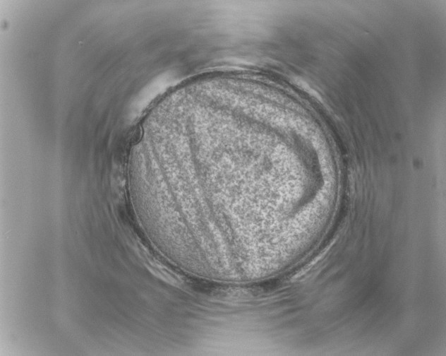 X0000057081355200510071834