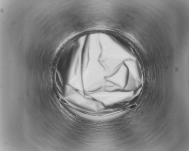 X0000057081356200510071834