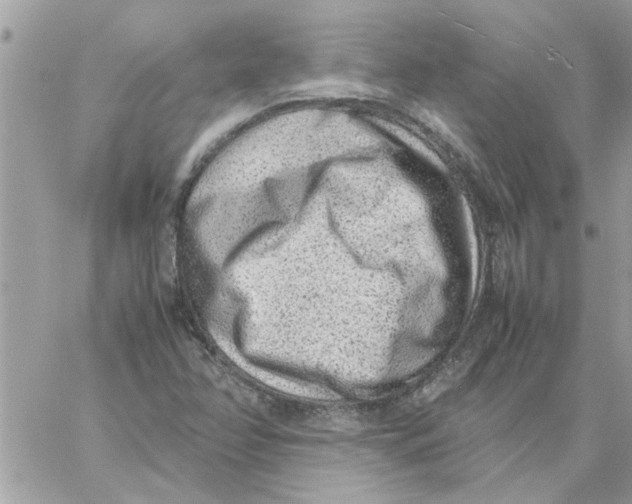 X0000057081358200510071834