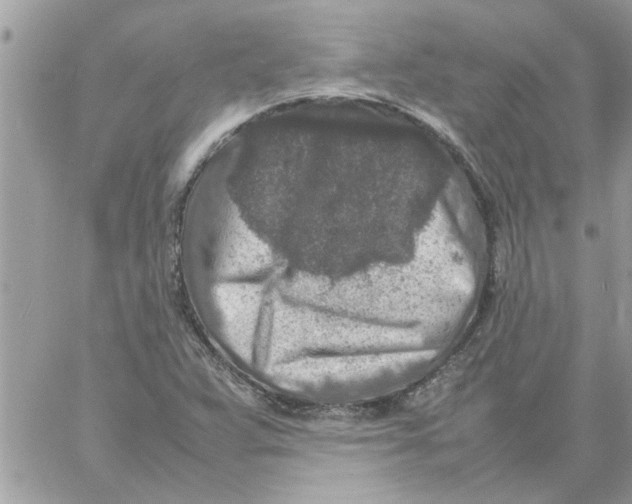 X0000057081359200510071834