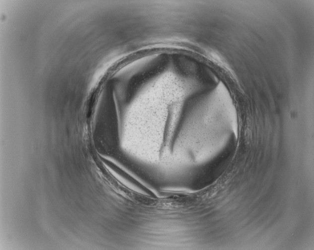 X0000057081360200510071834