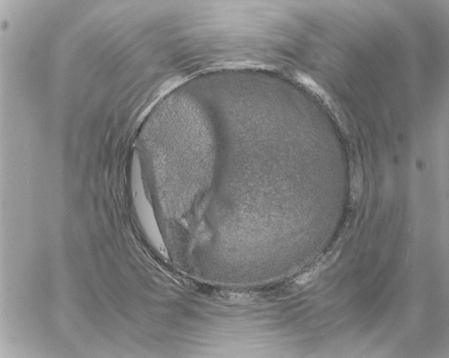 X0000057081361200510071834