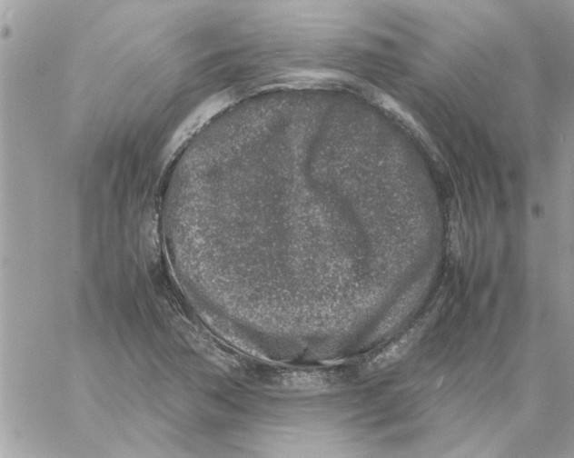 X0000057081362200510071834