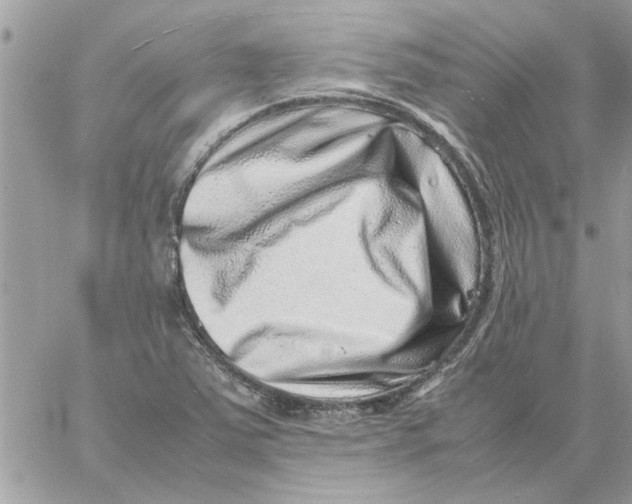 X0000057081363200510071834