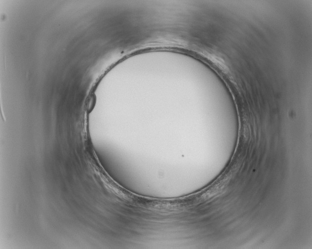 X0000057081366200510071834