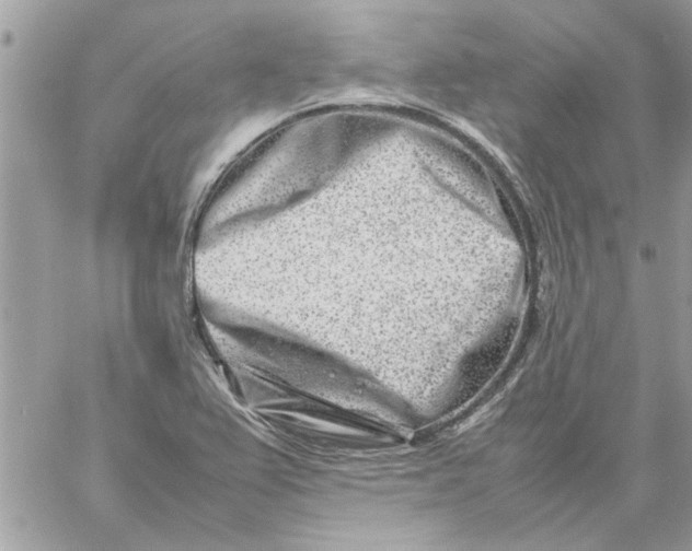 X0000057081367200510071834