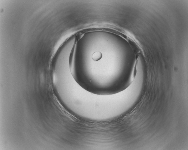 X0000057081368200510071834