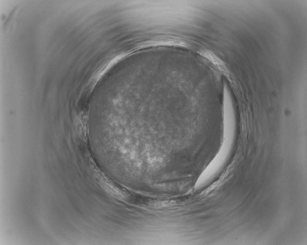 X0000057081369200510071834