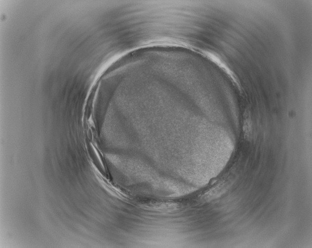 X0000057081372200510071834