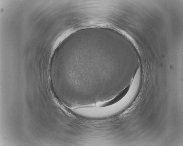 X0000057081373200510071834