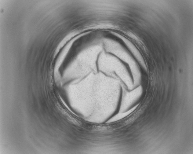 X0000057081374200510071834