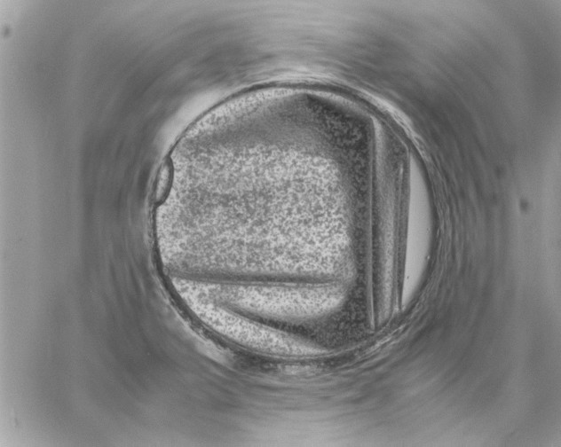 X0000057081375200510071834