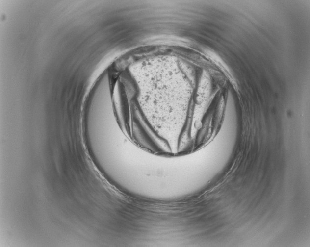 X0000057081376200510071834