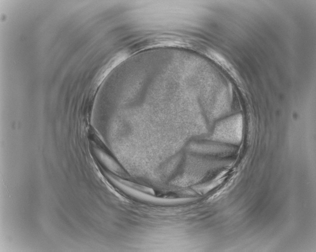 X0000057081377200510071834