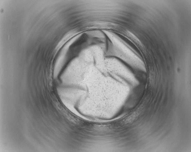 X0000057081378200510071834