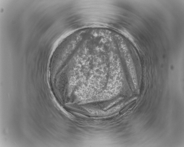 X0000057081379200510071834