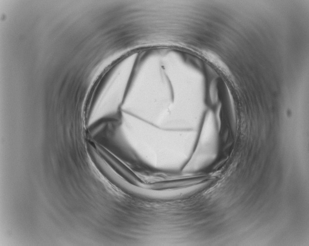 X0000057081380200510071834