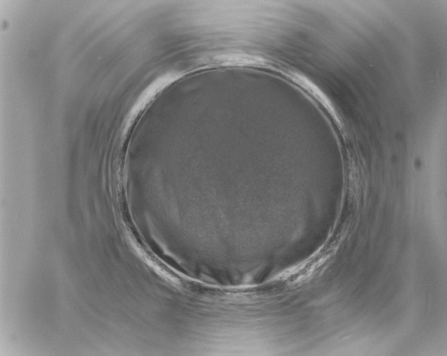 X0000057081381200510071834