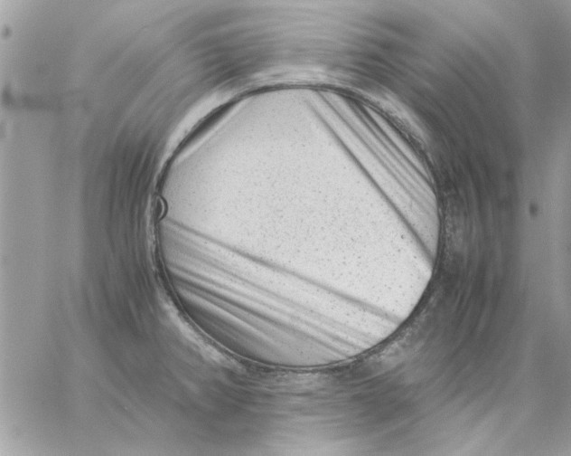 X0000057081382200510071834