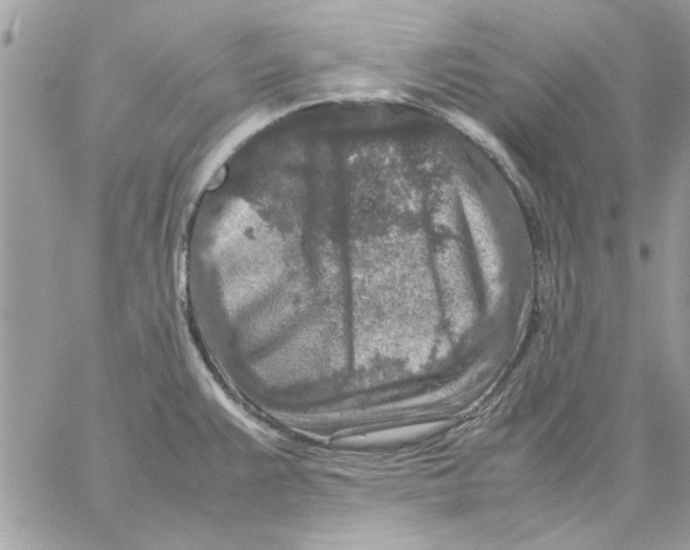 X0000057081383200510071834