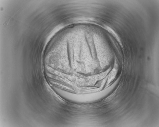 X0000057081384200510071834