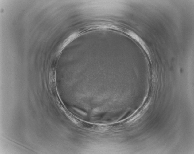 X0000057081385200510071834