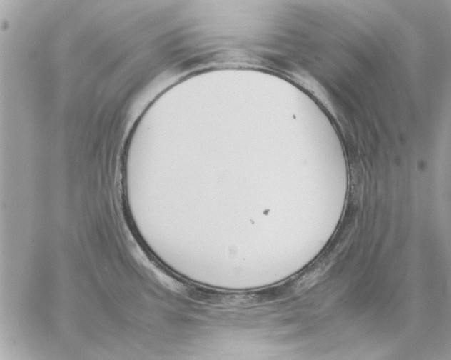 X0000057081387200510071834