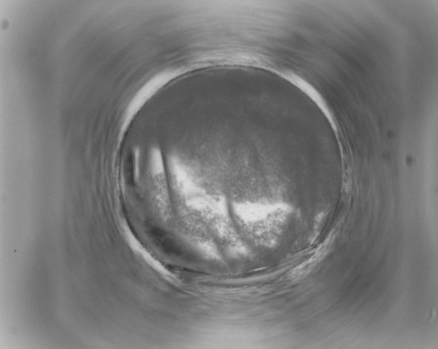 X0000057081389200510071834