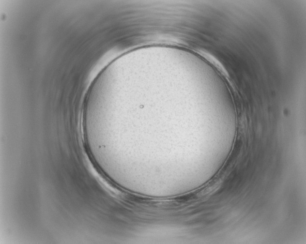 X0000057081391200510071834