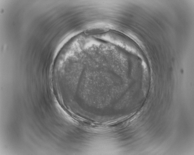 X0000057081392200510071834