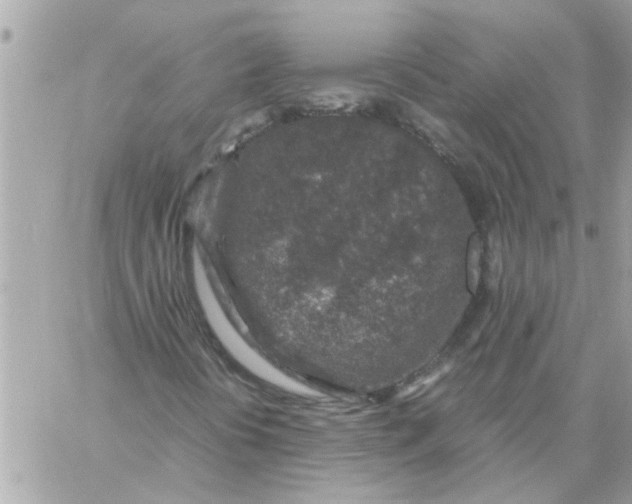 X0000057081394200510071833