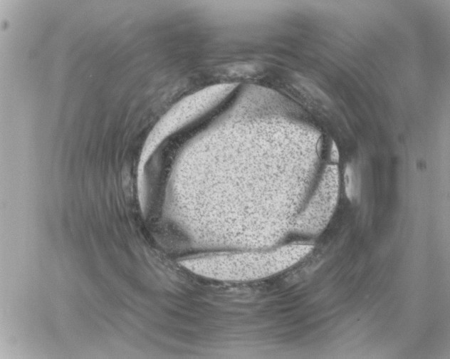 X0000057081395200510071833