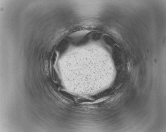 X0000057081396200510071833