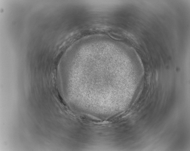 X0000057081397200510071833