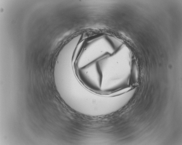 X0000057081398200510071833