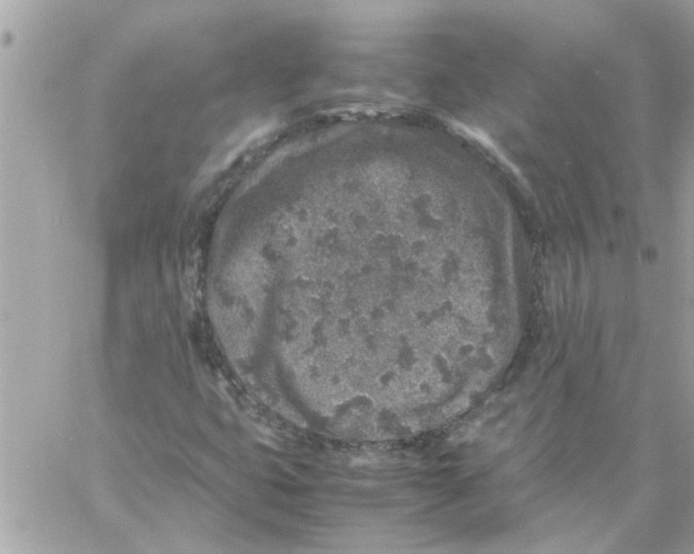 X0000057081399200510071833