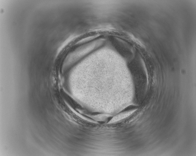 X0000057081400200510071833